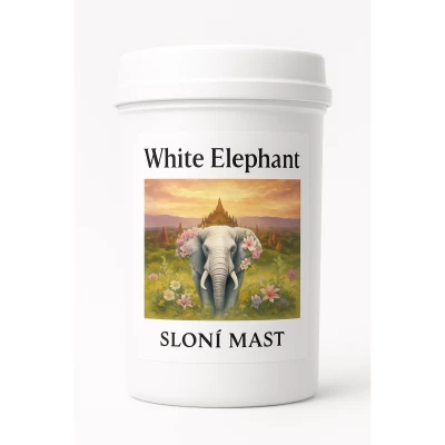 white elephant Sloní mast foto