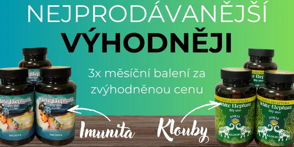 Bílý slon výhodněji obrázek